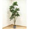 192cm 仿真榕樹大型綠植盆栽 (水泥紋膠盆)｜北歐極簡風室內植物 Ficus Tree