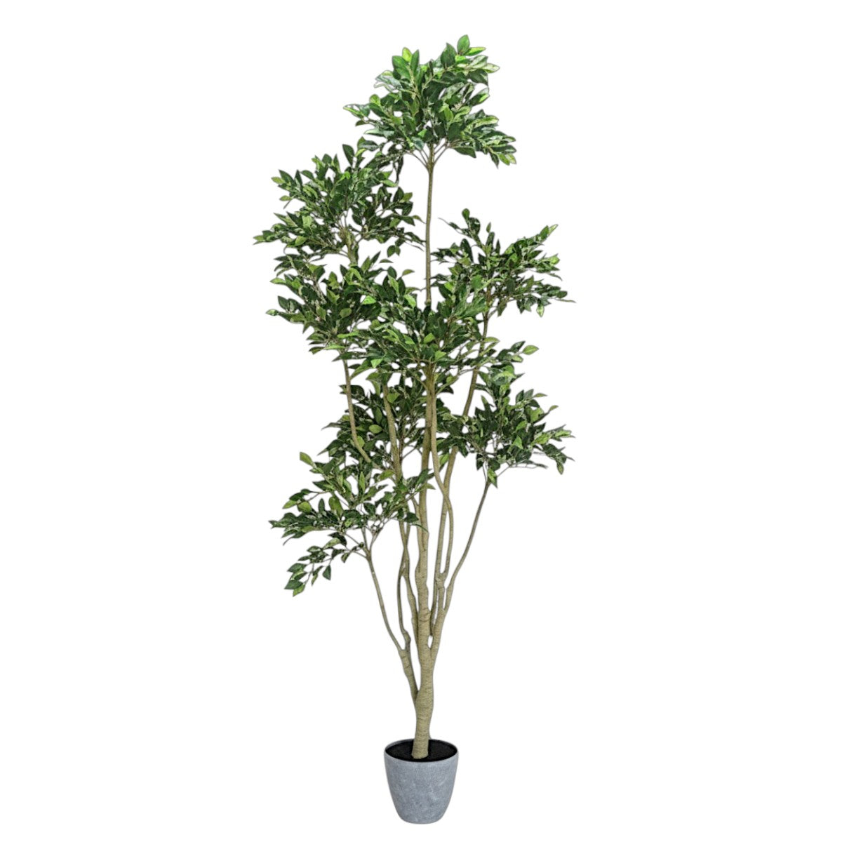 192cm 仿真榕樹大型綠植盆栽 (水泥紋膠盆)