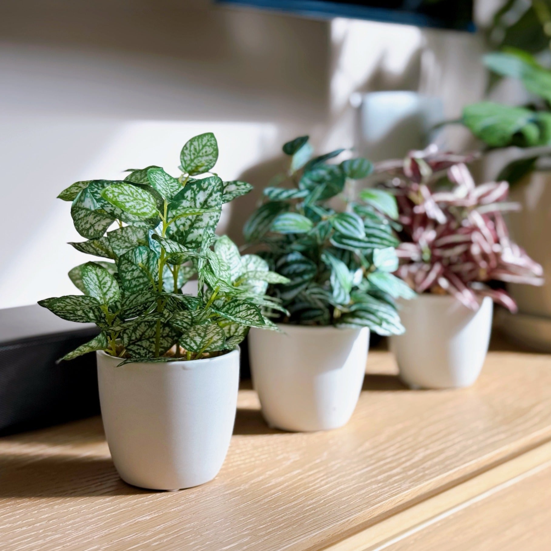 20cm 北歐風仿真迷你盆栽 3件套 | 20cm Mini Artificial Potted Plants (Set of 3)
