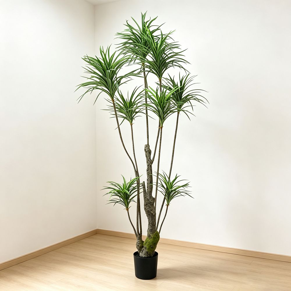 220cm 仿真龍血樹大型綠植盆栽 (黑膠盆)｜現代禪意極簡室內植物 Dracaena Tree