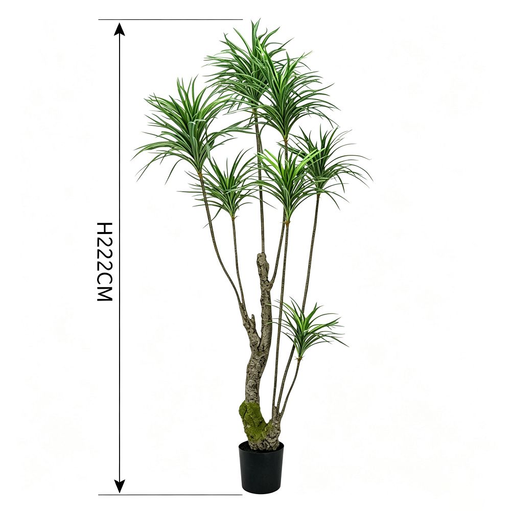 220cm 仿真龍血樹大型綠植盆栽 (黑膠盆)｜尺寸圖