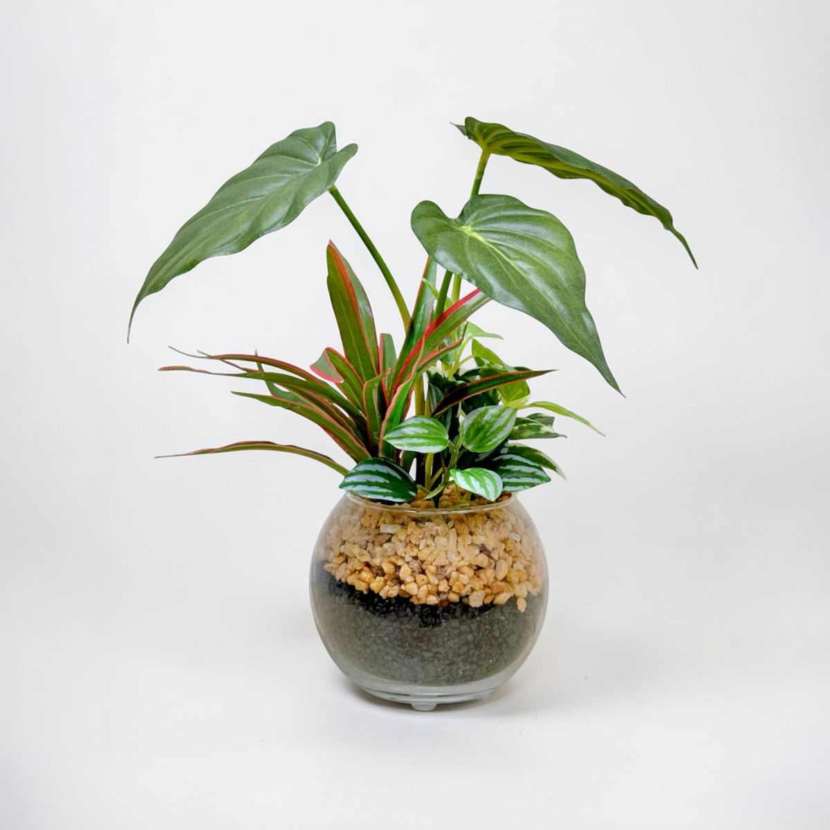 23cm 仿真五彩芋玻璃盆栽 | 蔓綠絨