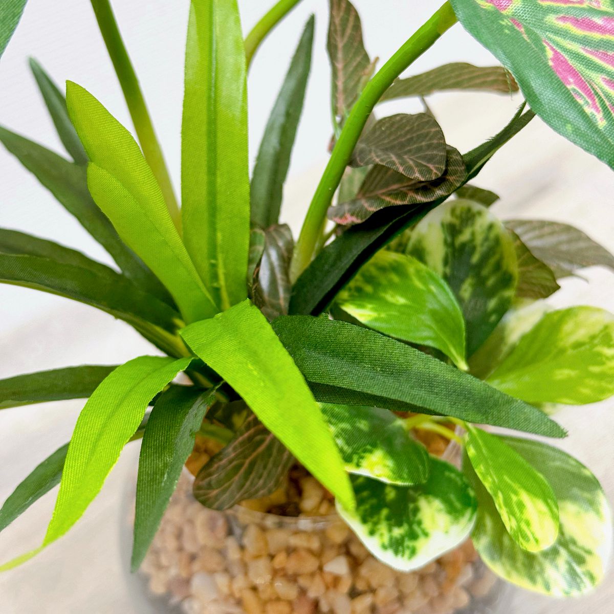 23cm 仿真五彩芋玻璃盆栽 | 彩葉芋，小葉特寫