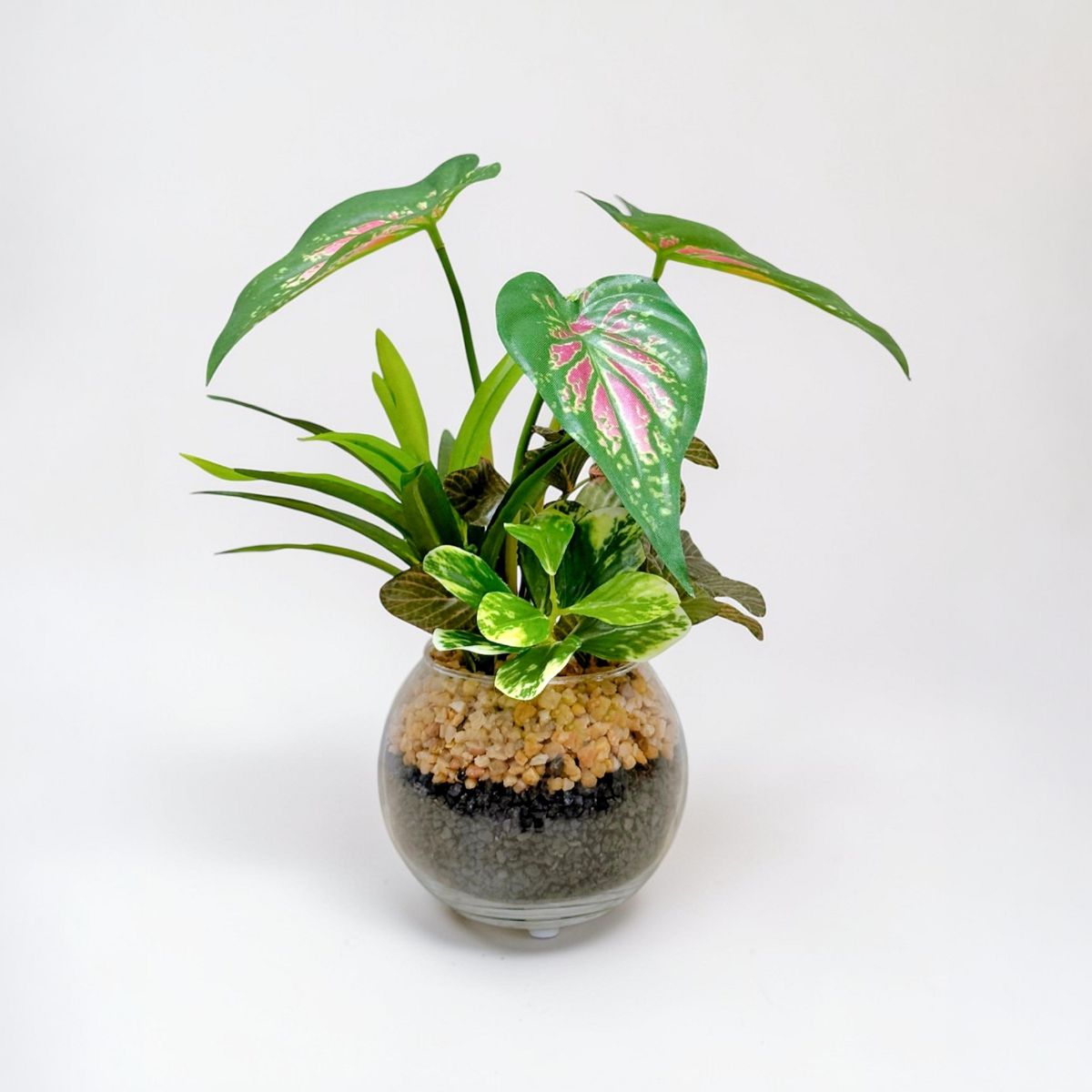 23cm 仿真五彩芋玻璃盆栽 | 彩葉芋