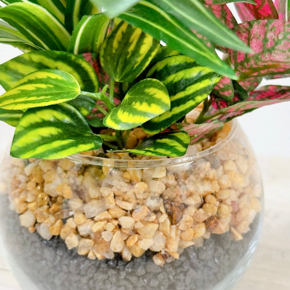 23cm 仿真五彩芋玻璃盆栽 | 龜背芋，玻璃盆特寫