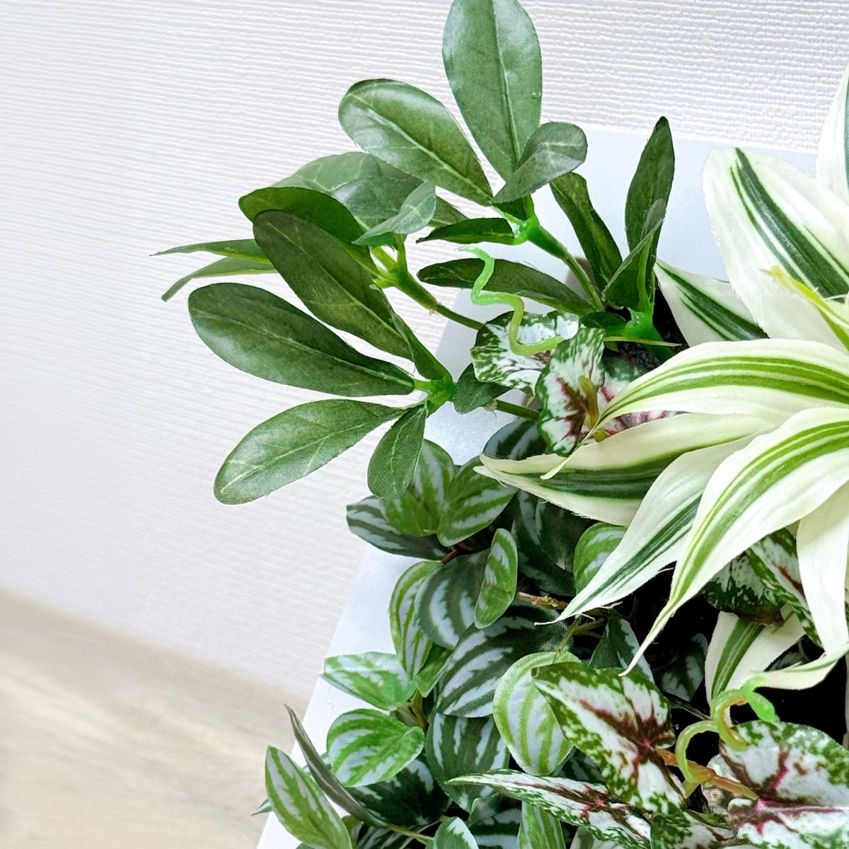 25x25cm 仿真植物掛牆畫框 2件組 | A款特寫