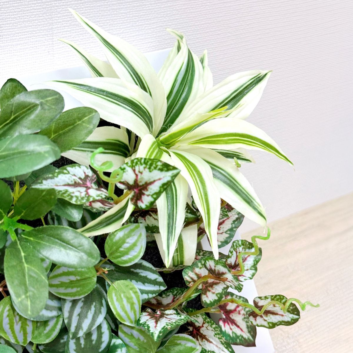 25x25cm 仿真植物掛牆畫框 2件組 | A款特寫
