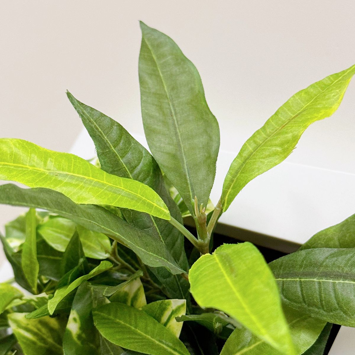 25x25cm 仿真植物掛牆畫框 2件組 | B款特寫