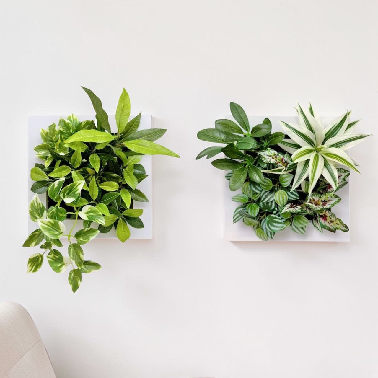 25x25cm 仿真植物掛牆畫框 2件組 | 3D 立體牆身裝飾 Wall Frame Set