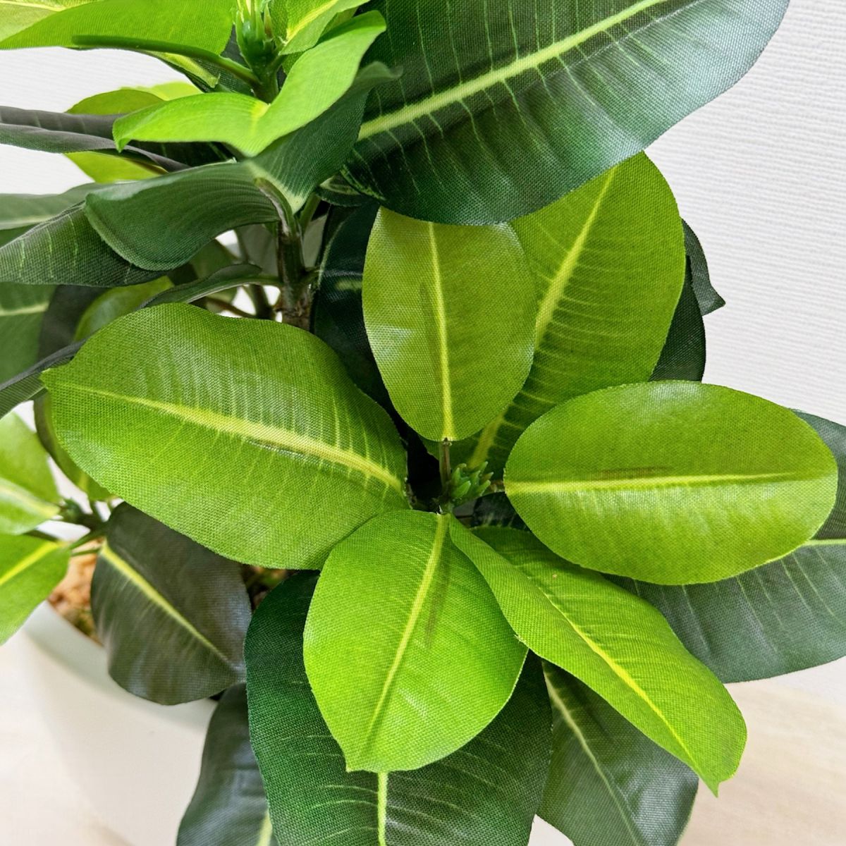 30cm 仿真橡葉陶瓷盆栽 | 綠葉白盆，葉片特寫