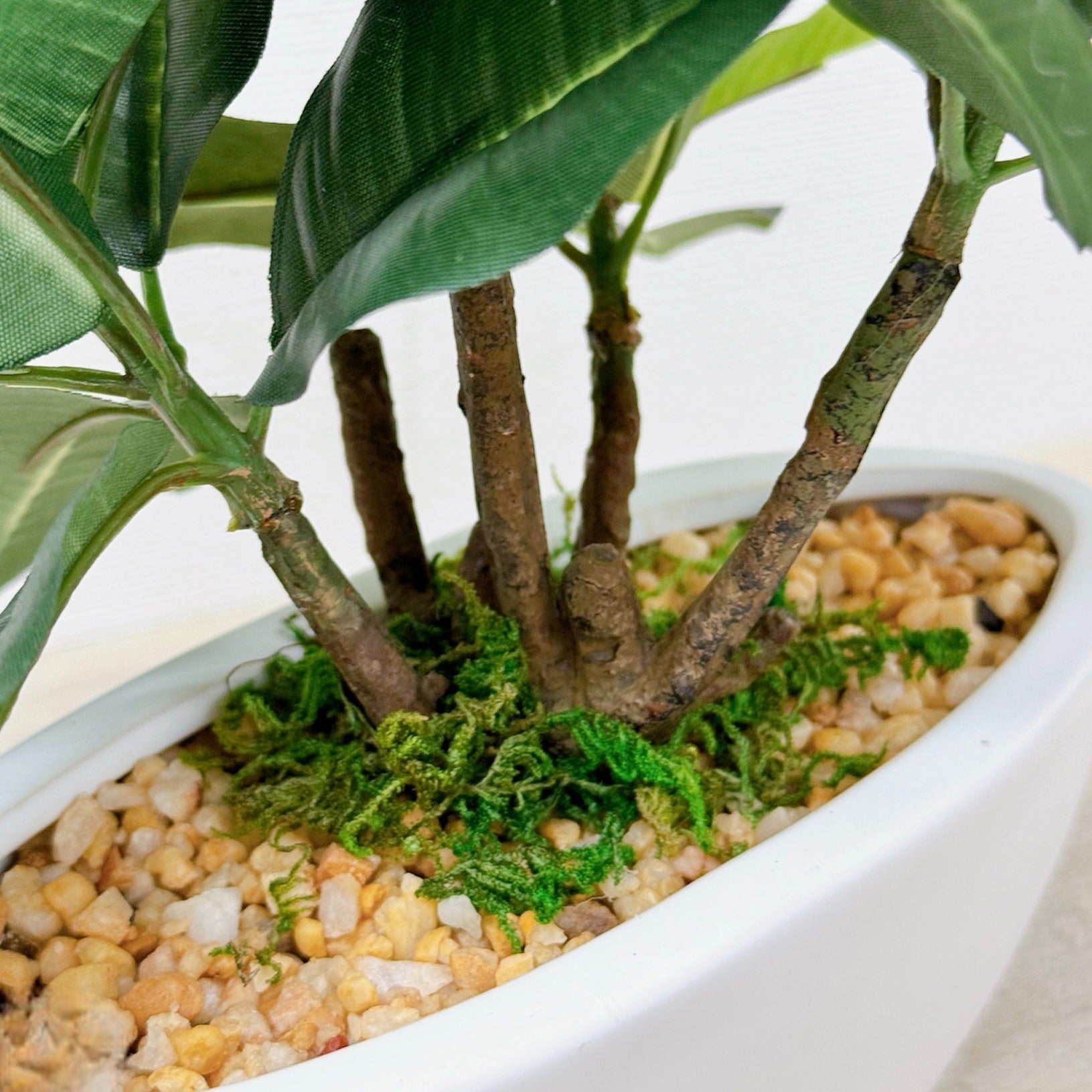 30cm 仿真橡葉陶瓷盆栽 | 綠葉白盆，枝杆特寫