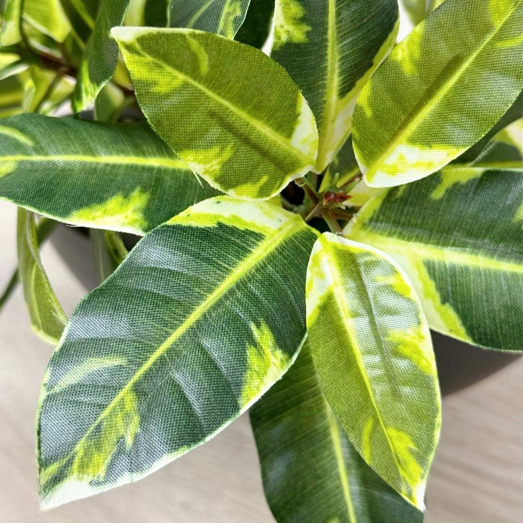 30cm 仿真橡葉陶瓷盆栽 | 花葉灰盆，葉片特寫