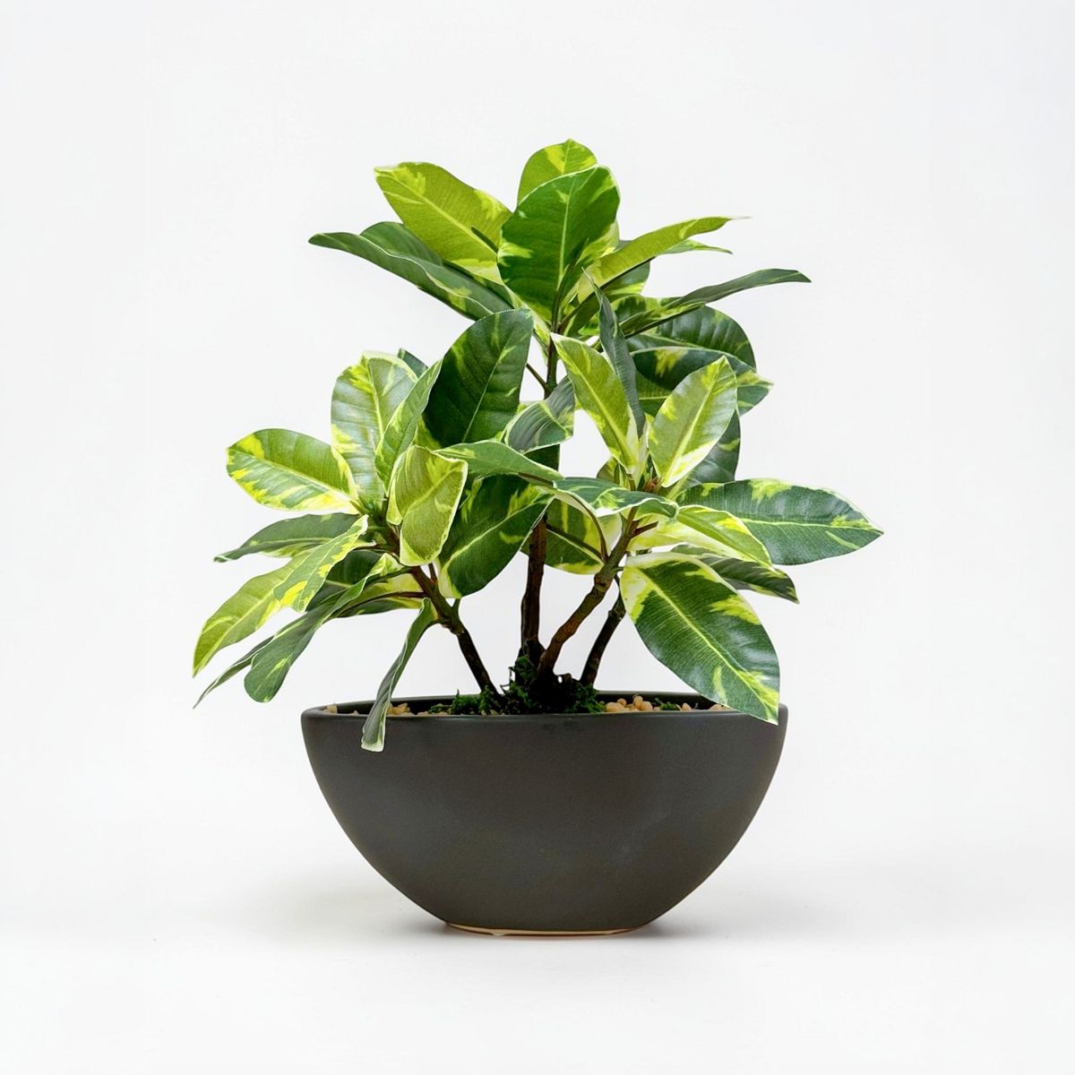 30cm 仿真橡葉陶瓷盆栽 | 花葉灰盆