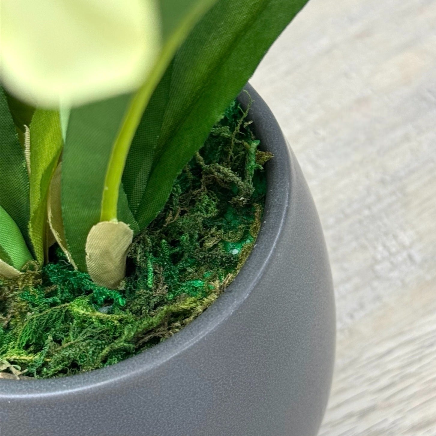 31cm 仿真水仙花陶瓷盆栽 | 黃花灰盆，盆面特寫