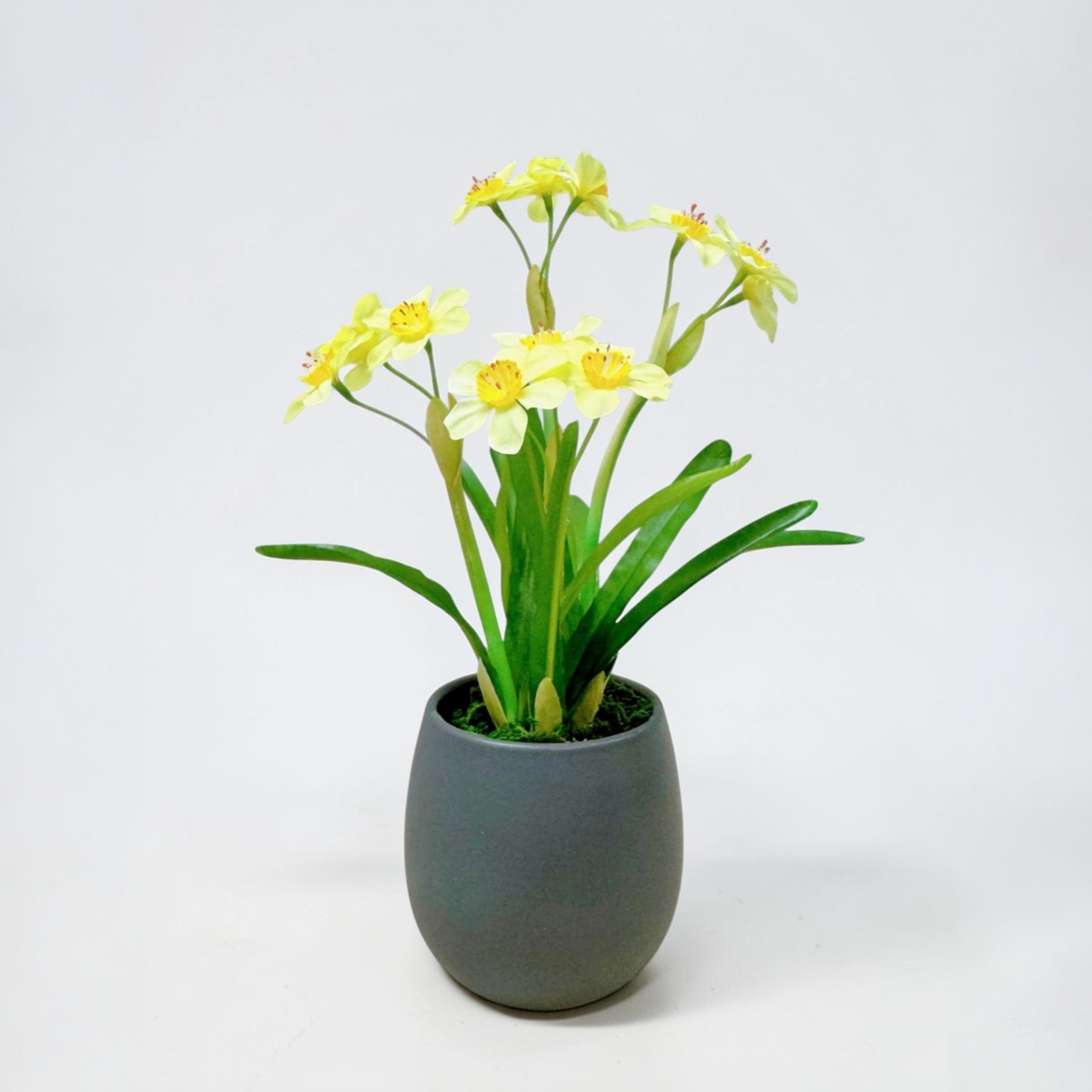 31cm 仿真水仙花陶瓷盆栽 | 黃花灰盆
