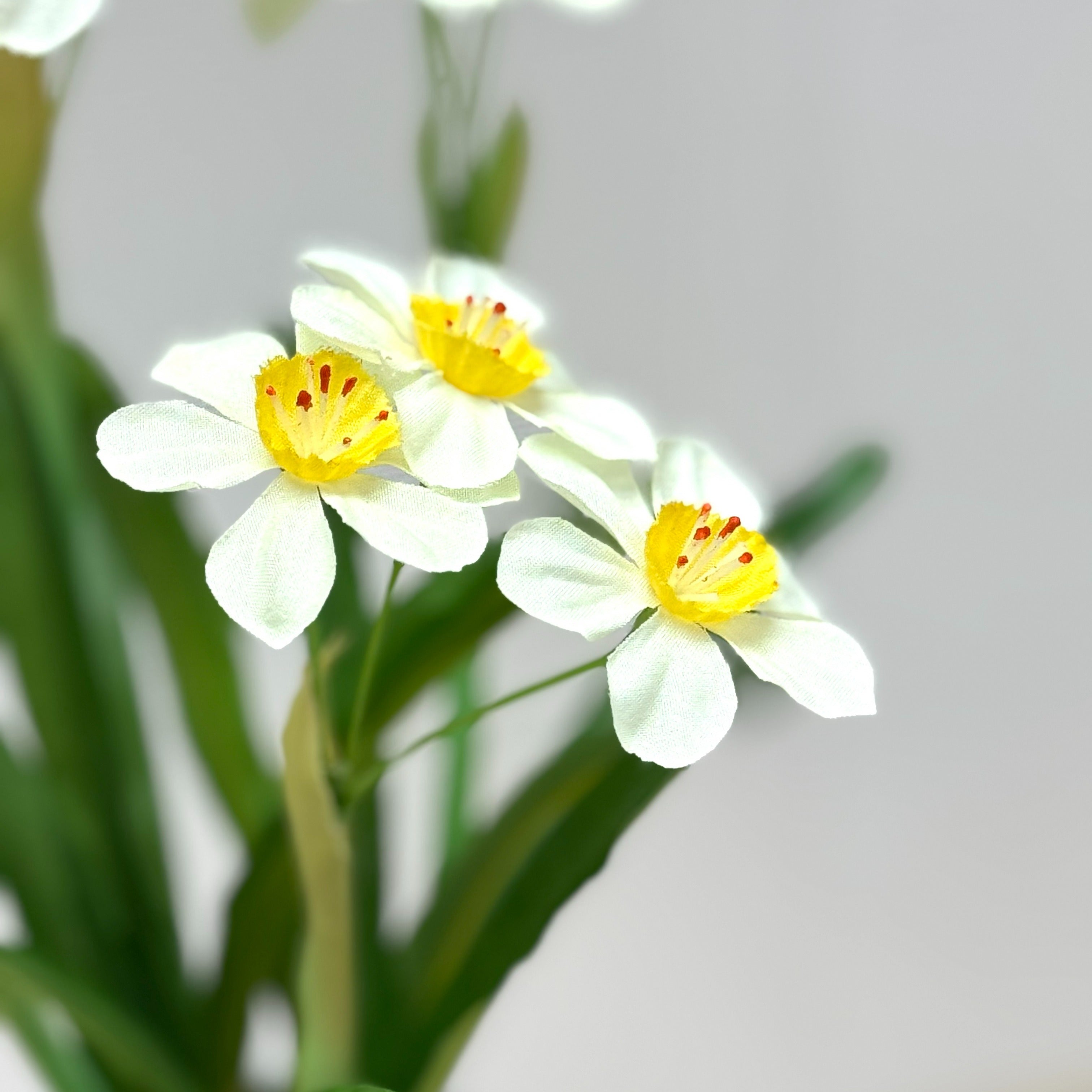 31cm 仿真水仙花陶瓷盆栽 | 白花白盆，花朵特寫