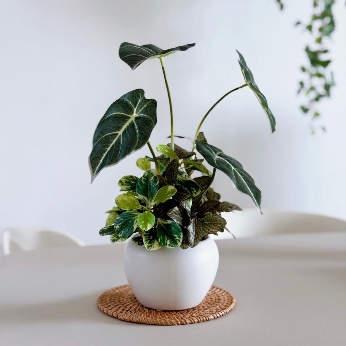 32cm 仿真黑葉海芋盆栽 | 銀白葉脈 質感小盆栽 Alocasia