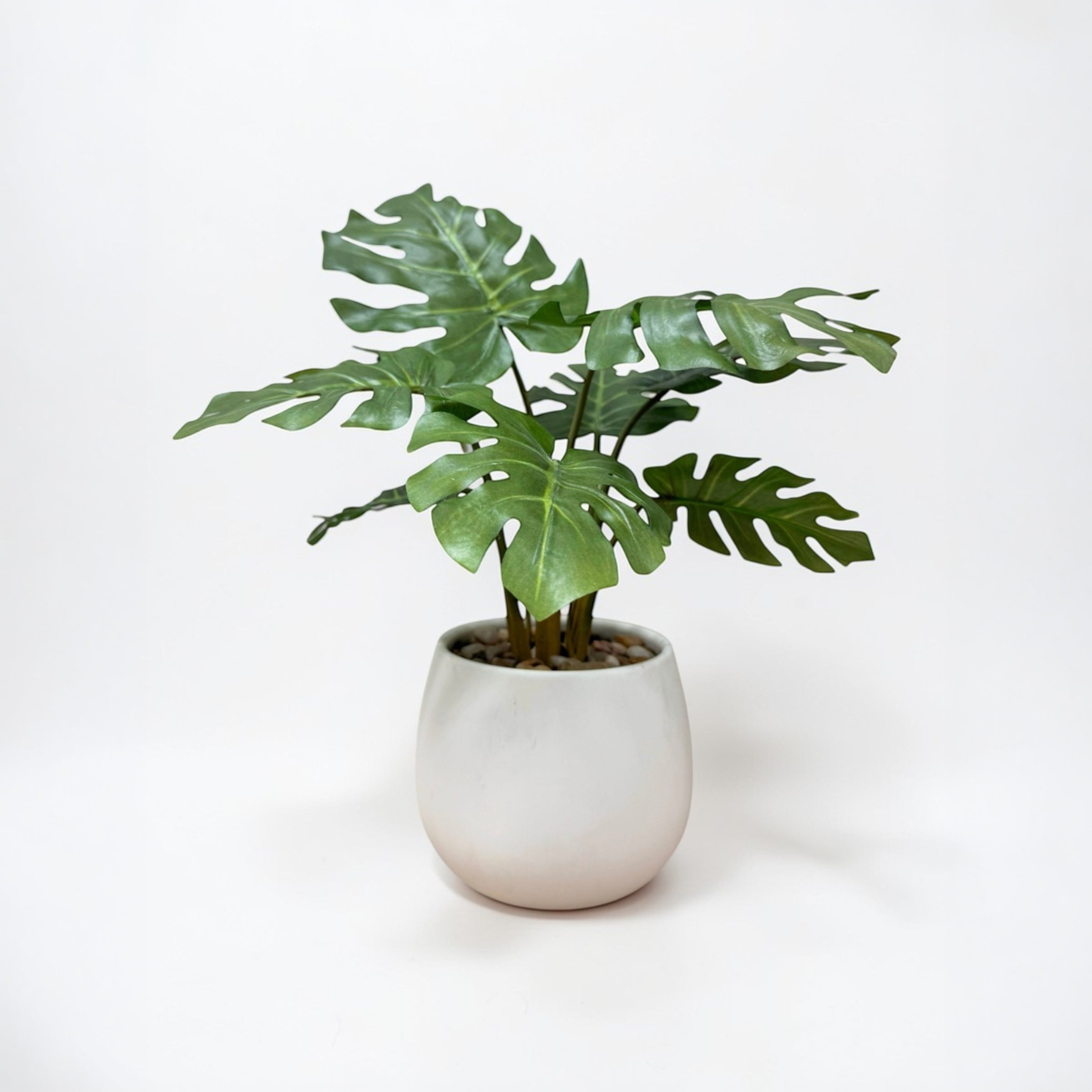 37cm 仿真龜背芋 陶瓷盆栽