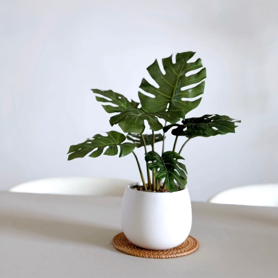 37cm 仿真龜背芋陶瓷盆栽 | 北歐風人造植物 鵝蛋型盆 Monstera