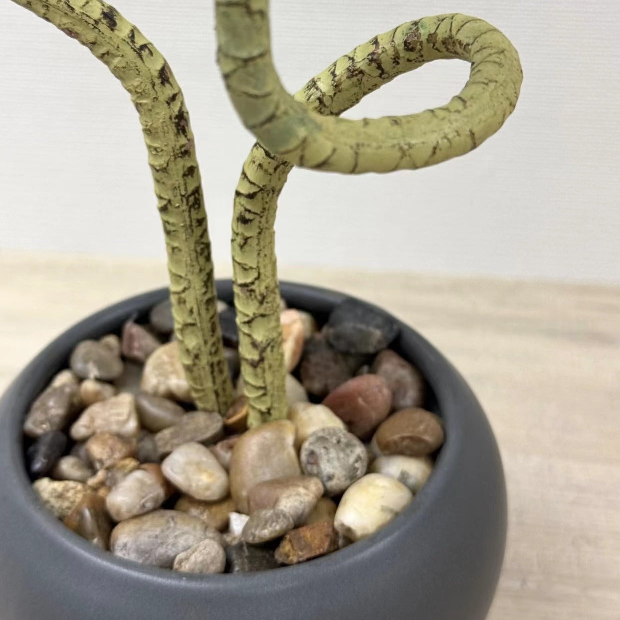 39cm 仿真龍血蘭陶瓷盆栽 | 綠葉灰盆，枝杆特寫