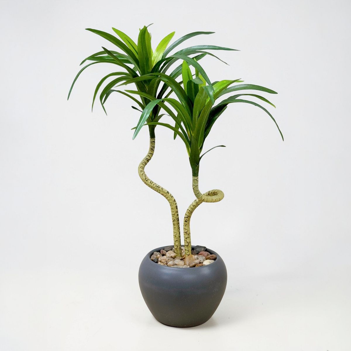 39cm 仿真龍血蘭陶瓷盆栽 | 綠葉灰盆