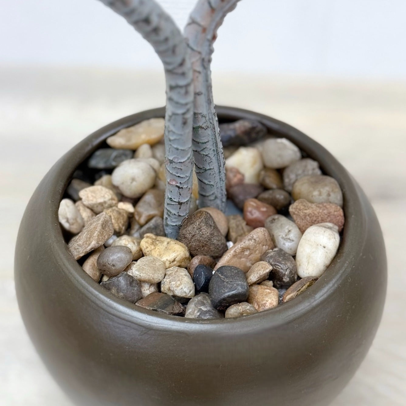39cm 仿真龍血蘭陶瓷盆栽 | 粉葉啡盆，枝杆特寫