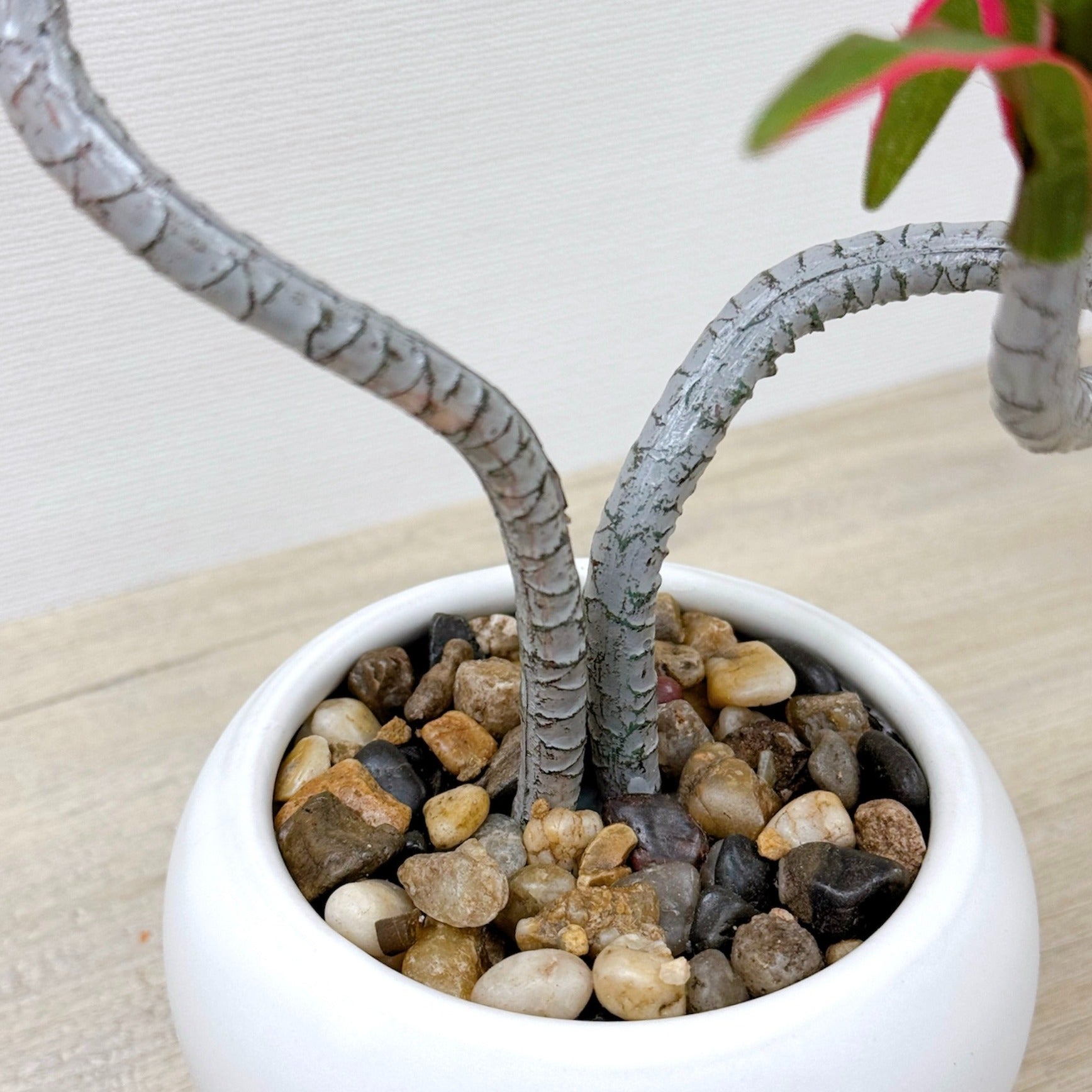 39cm 仿真龍血蘭陶瓷盆栽 | 紅葉白盆，枝杆特寫