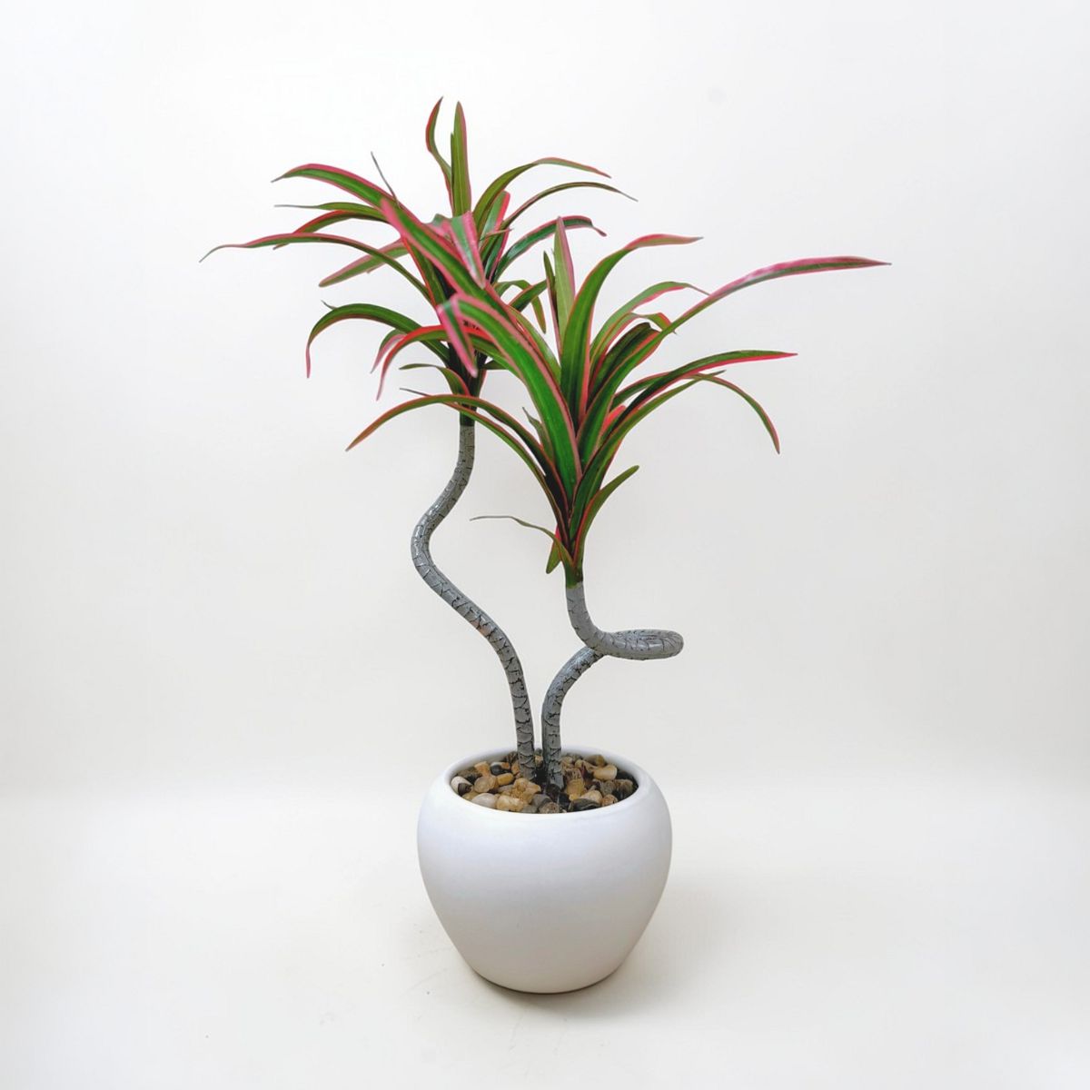39cm 仿真龍血蘭陶瓷盆栽 | 紅葉白盆