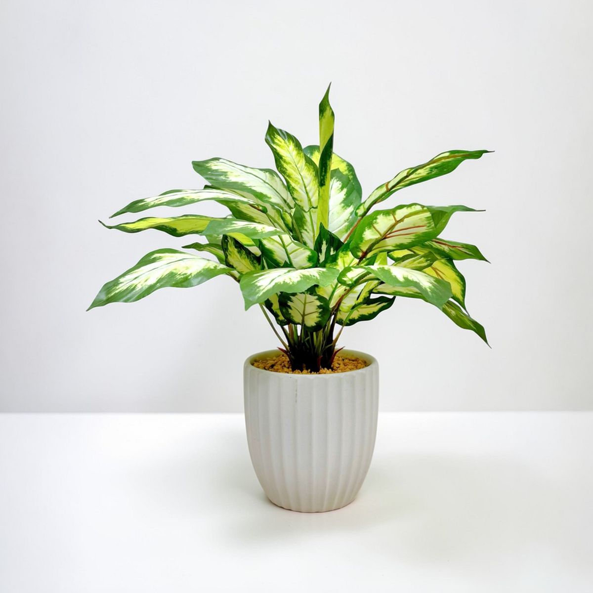 43cm 仿真花葉萬年青盆栽 | 白心綠邊