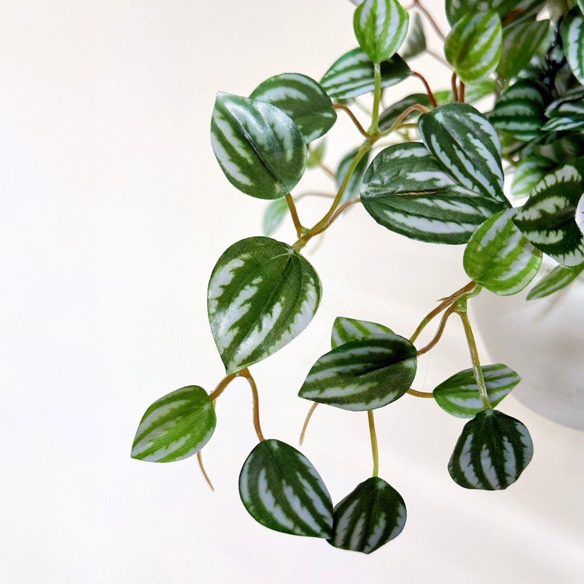 48cm 仿真吊籃盆栽 | 西瓜皮椒草藤蔓，葉片特寫