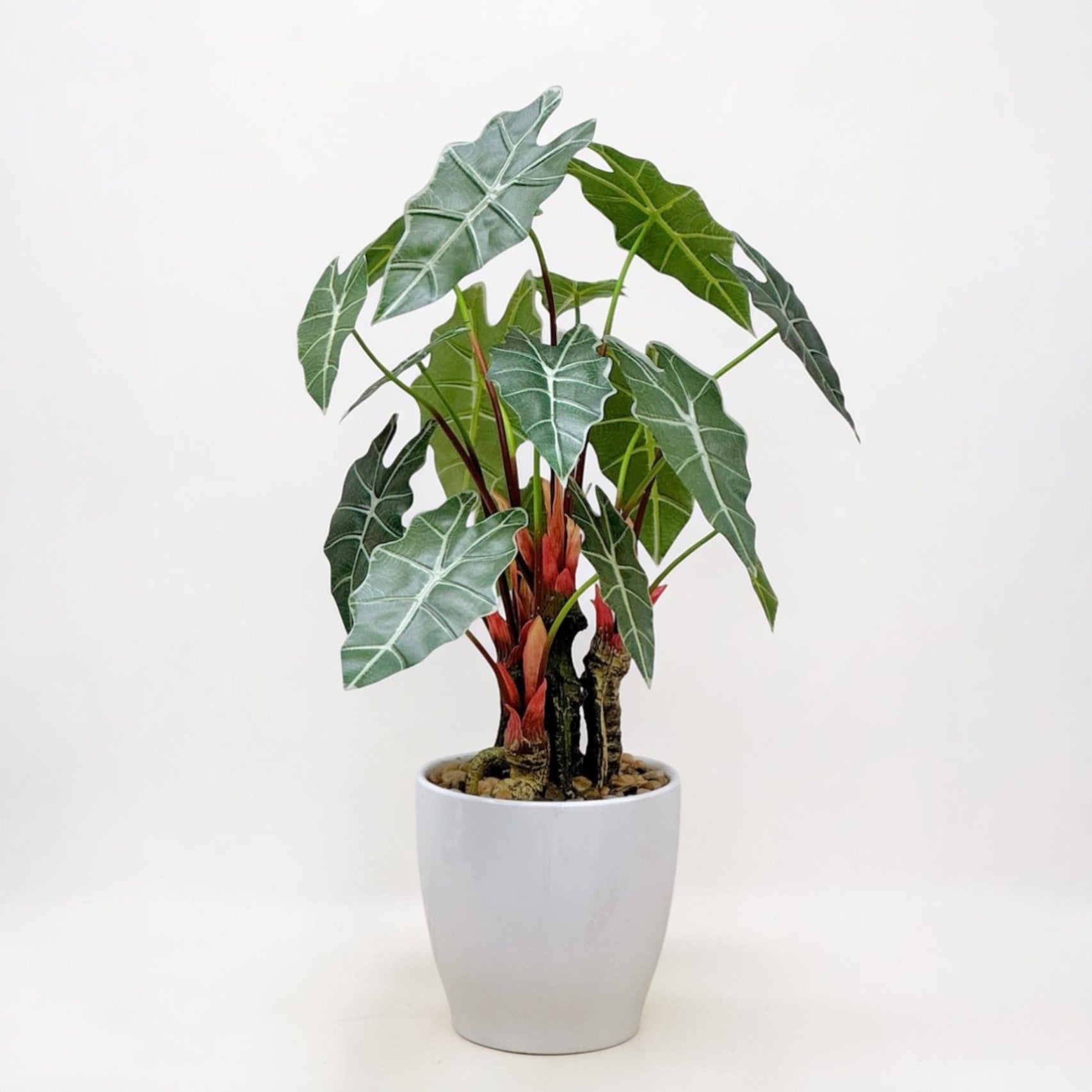 56cm 仿真海芋陶瓷盆栽