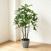 91cm 仿真發財樹中型綠植盆栽 (水泥紋膠盆)｜招財開運室內植物 Pachira Tree