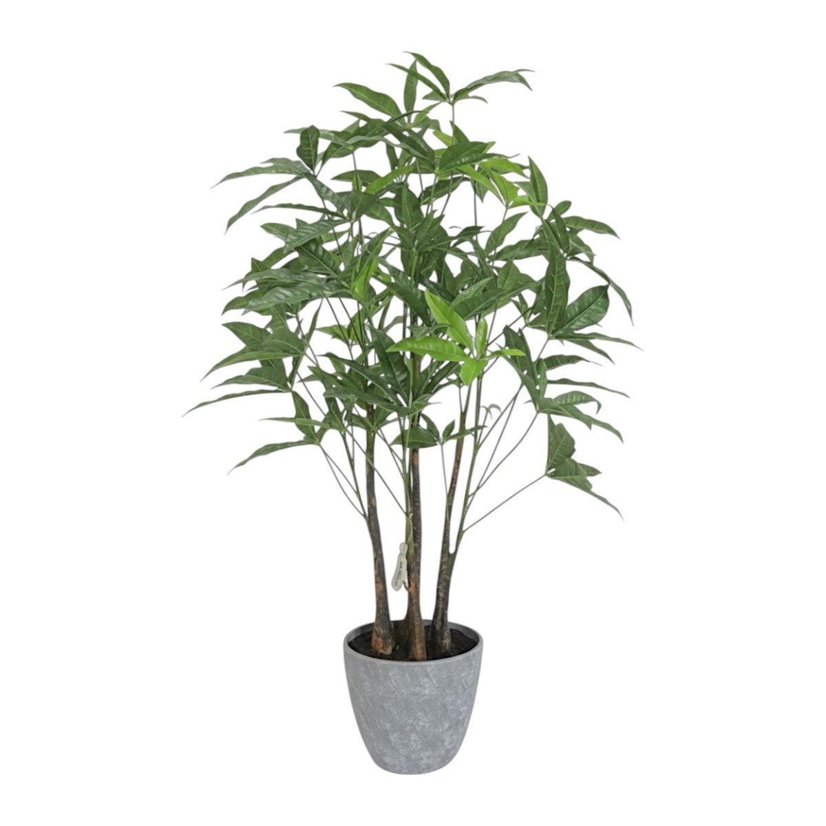 91cm 仿真發財樹中型綠植盆栽 (水泥紋膠盆)
