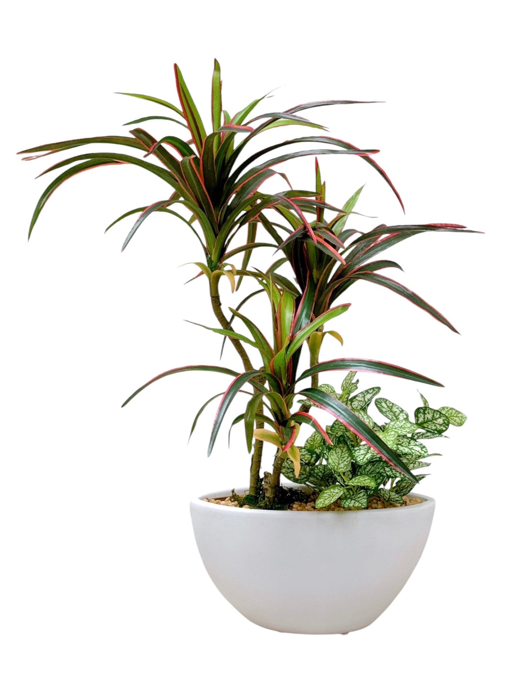 51cm 仿真龍血蘭搭配迷你葉盆栽 Dracaena & Mini Leaf