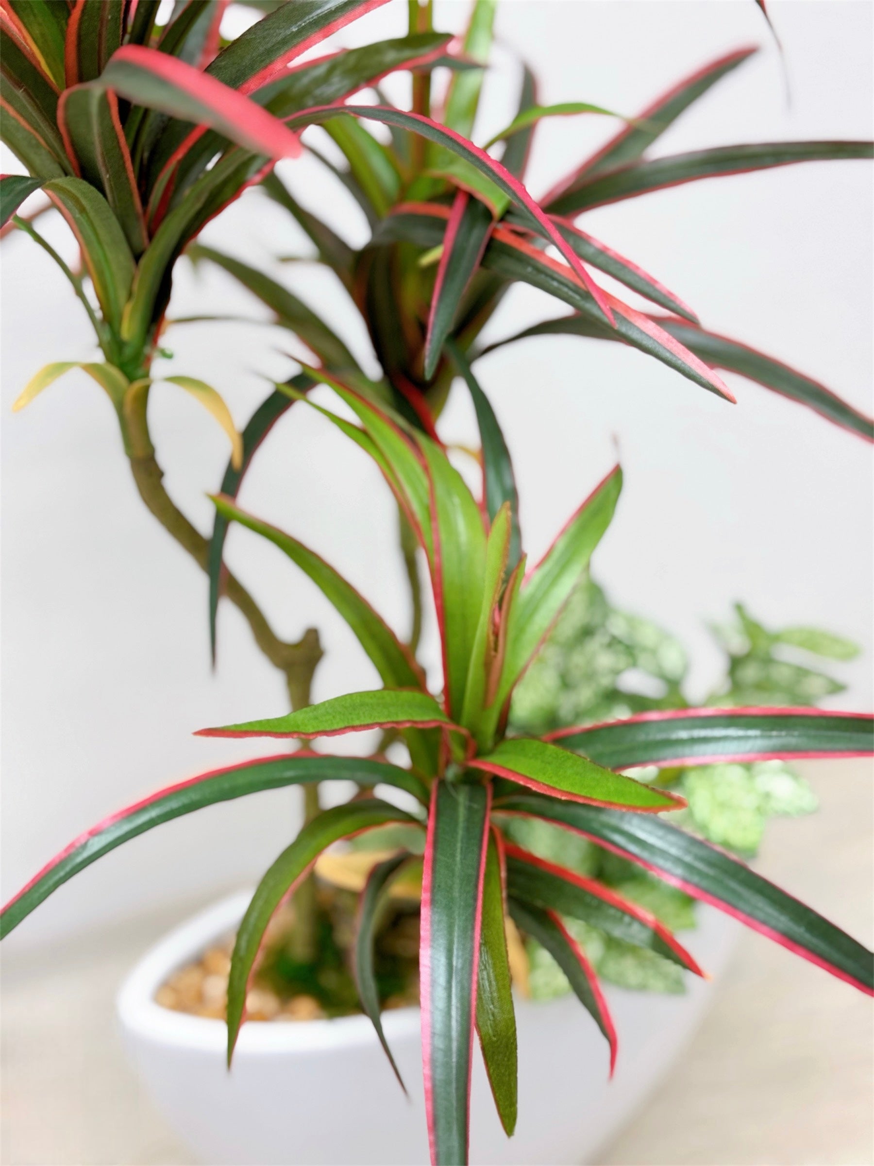 51cm 仿真龍血蘭搭配迷你葉盆栽 Dracaena & Mini Leaf