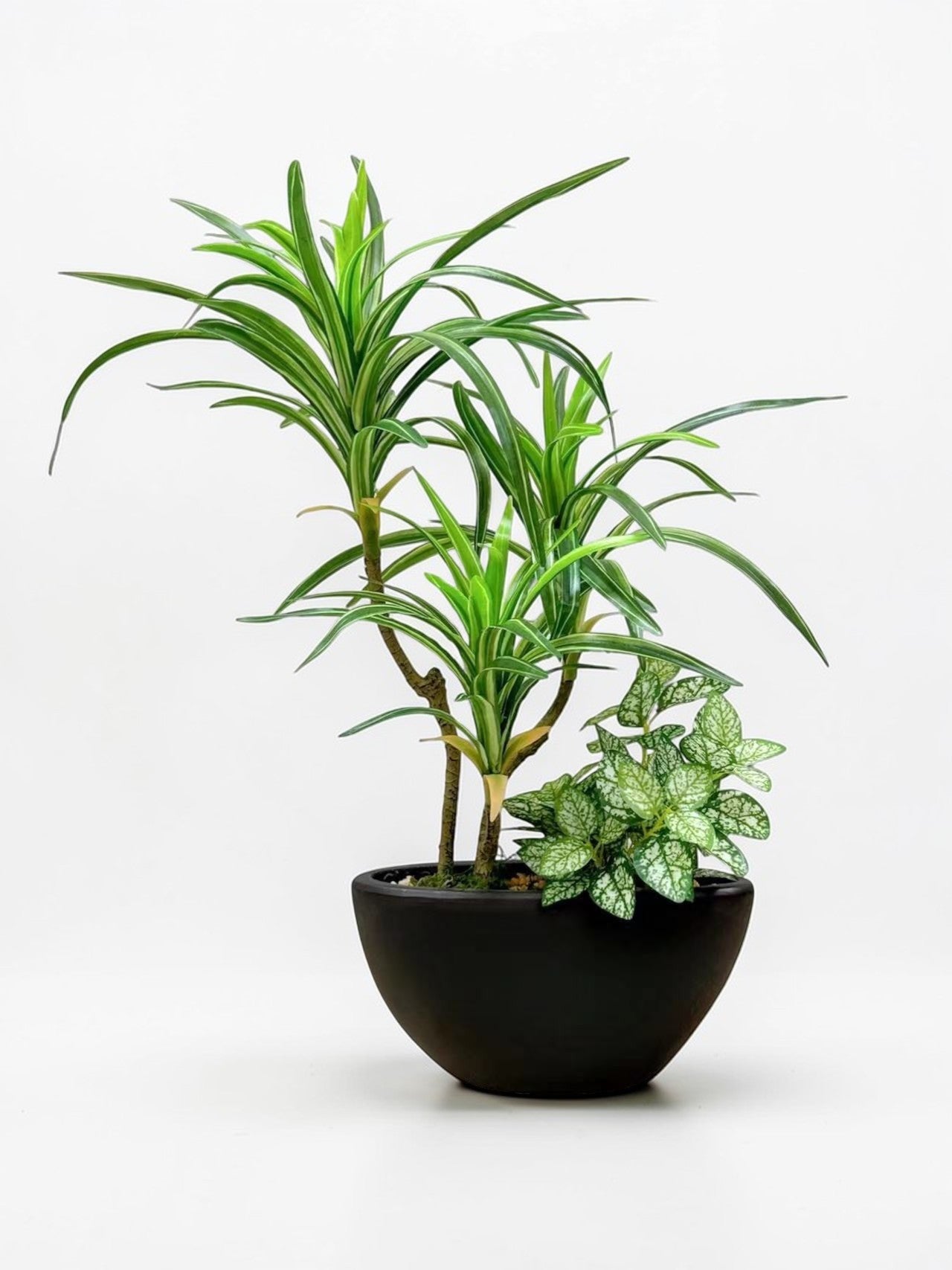【香港現貨】仿真龍血蘭搭配迷你葉 (51cm) | 半月型陶瓷盆 現代禪意裝飾 Dracaena - Midoria