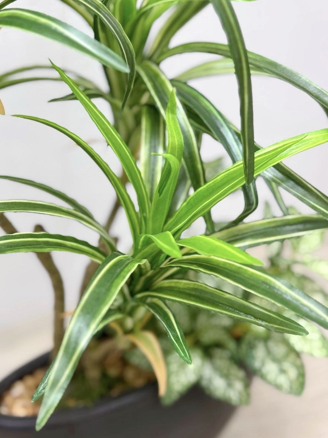 51cm 仿真龍血蘭搭配迷你葉盆栽 Dracaena & Mini Leaf