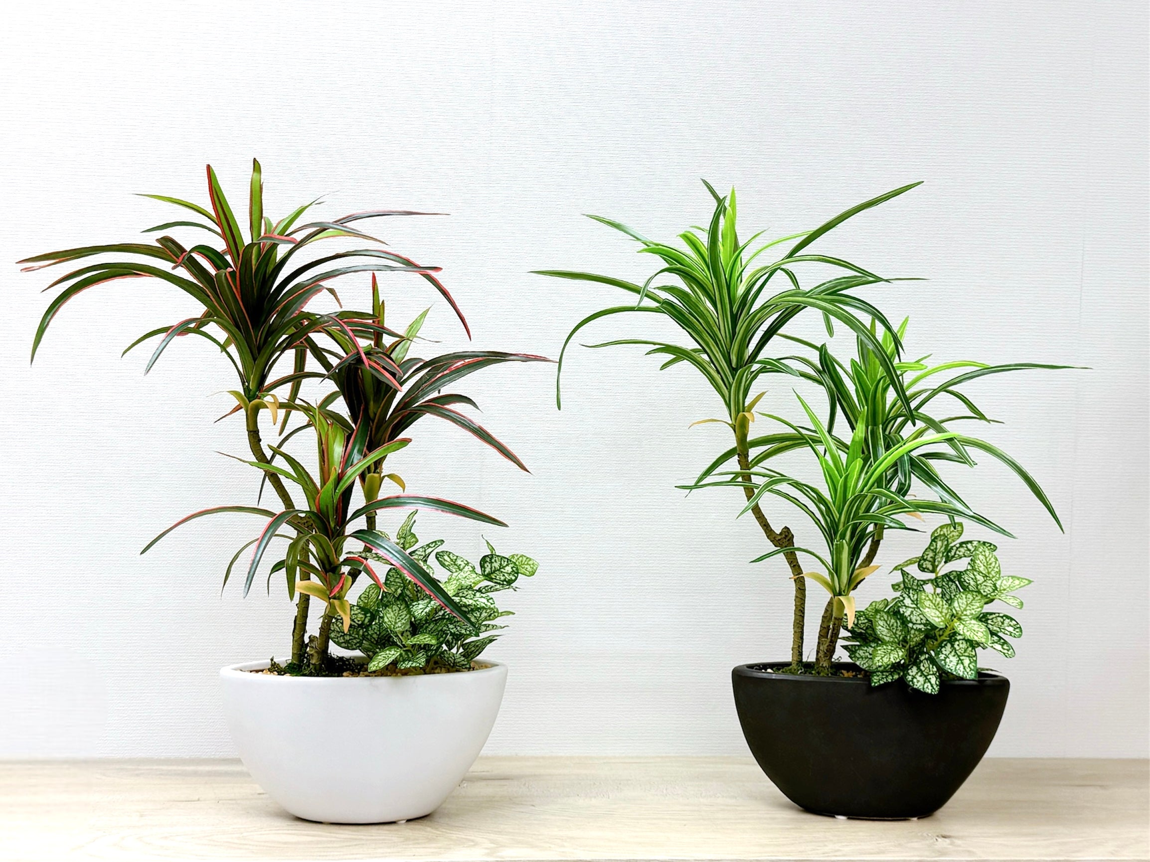 51cm 仿真龍血蘭搭配迷你葉盆栽 Dracaena & Mini Leaf