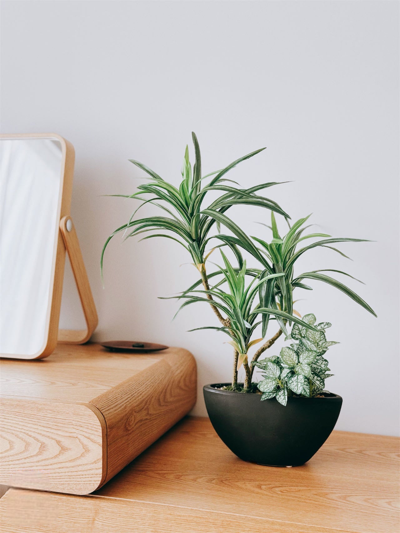 51cm 仿真龍血蘭搭配迷你葉盆栽 Dracaena & Mini Leaf