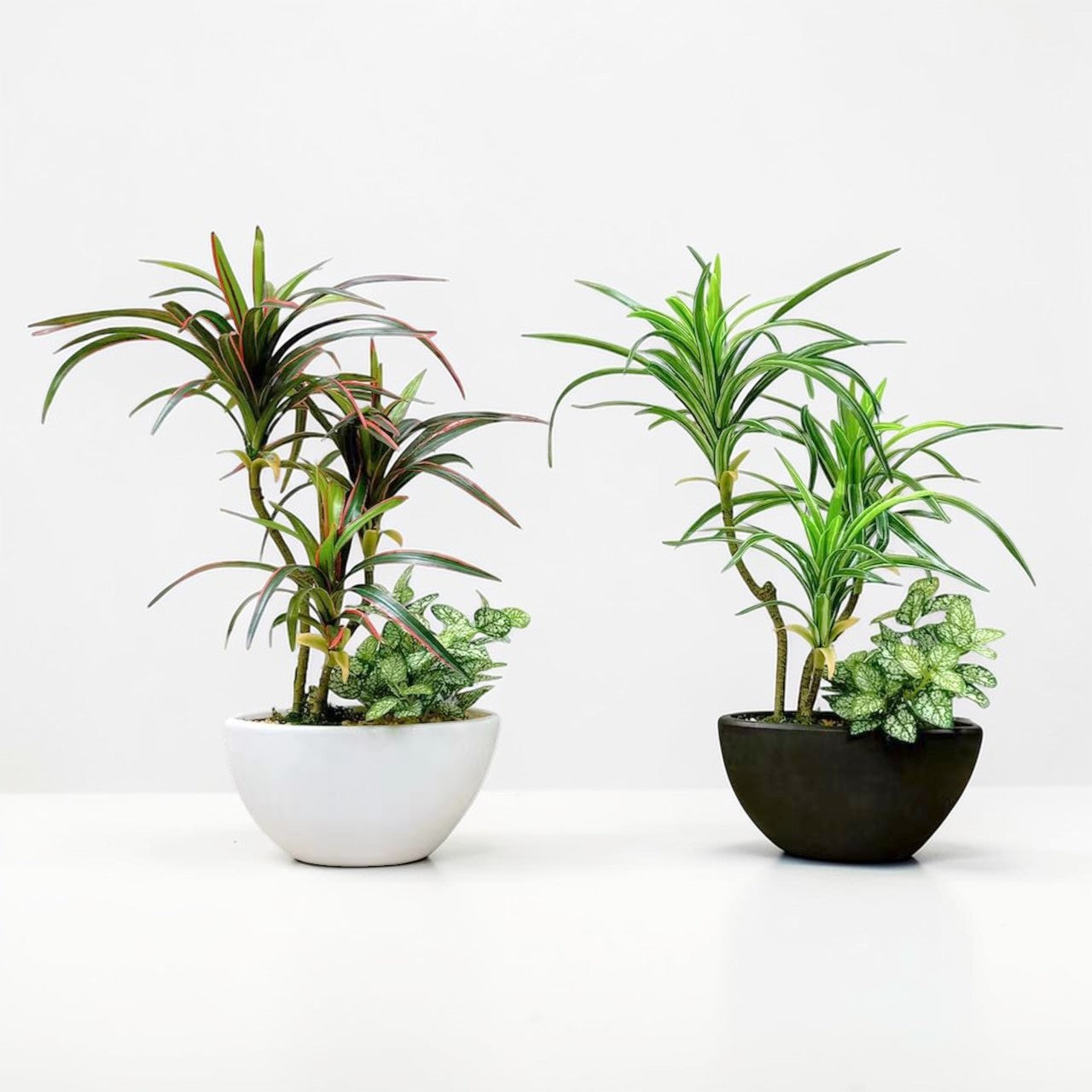 【香港現貨】仿真龍血蘭搭配迷你葉 (51cm) | 半月型陶瓷盆 現代禪意裝飾 Dracaena - Midoria