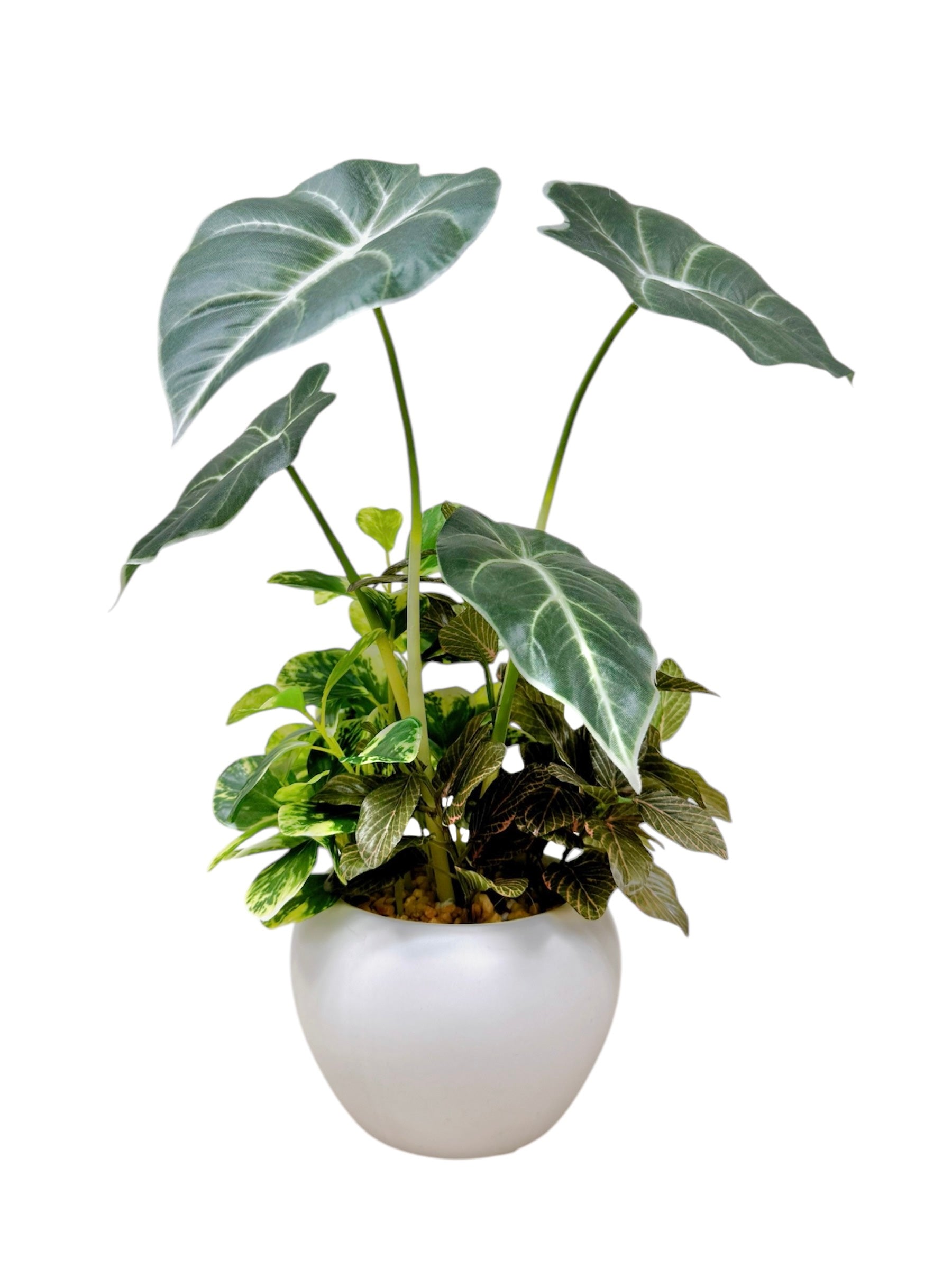 32cm 仿真海芋搭配迷你葉盆栽 Alocosia & Mini Leaf