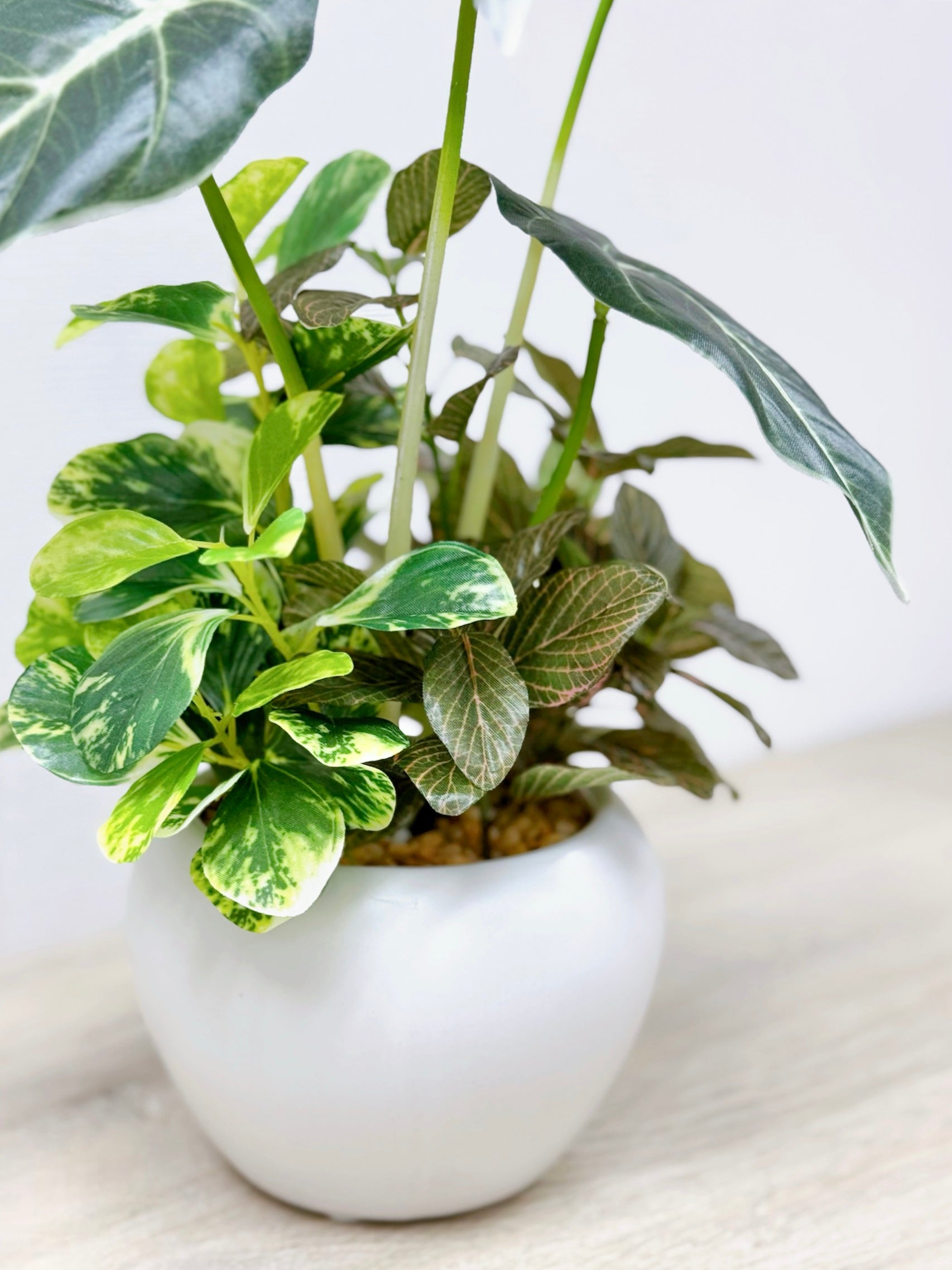 32cm 仿真海芋搭配迷你葉盆栽 Alocosia & Mini Leaf