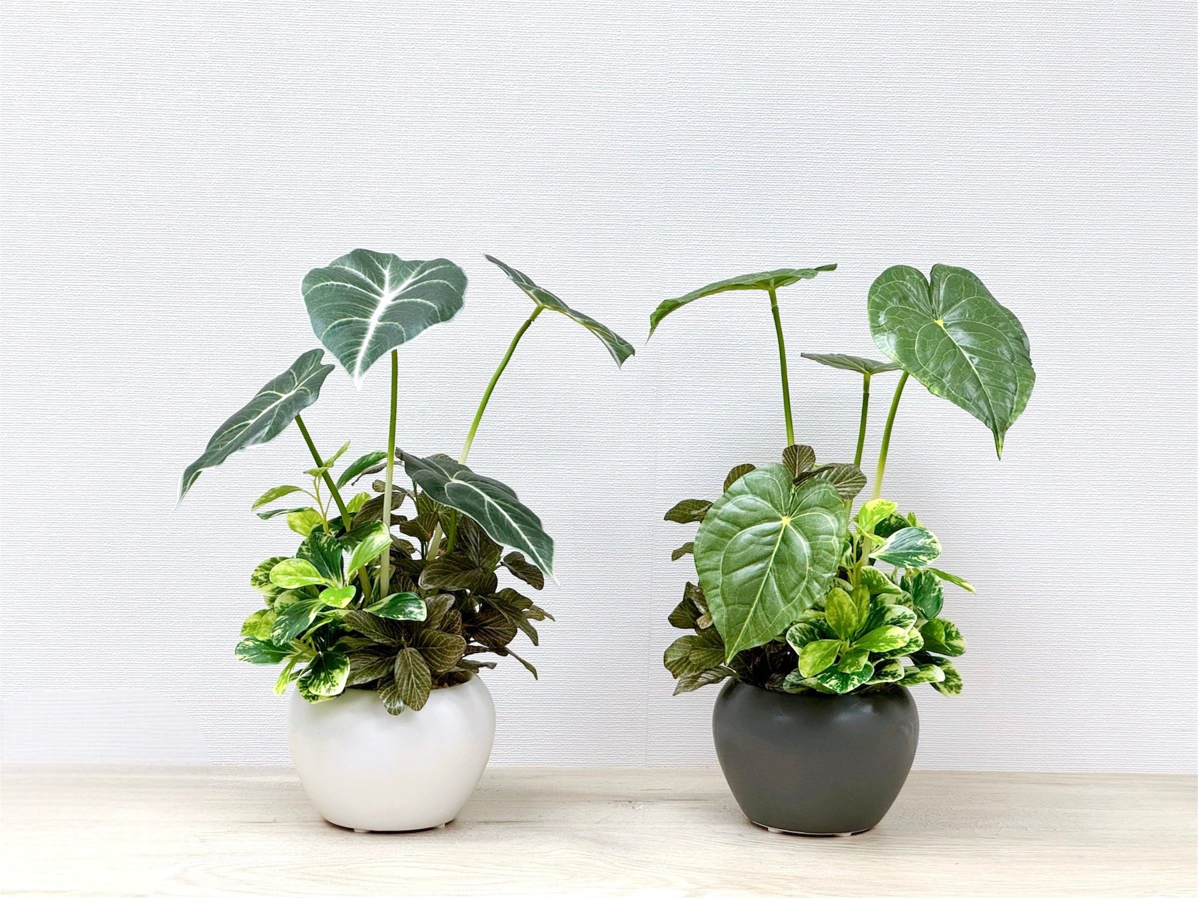 32cm 仿真海芋搭配迷你葉盆栽 Alocosia & Mini Leaf