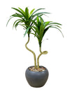 39cm 仿真龍血蘭盆栽 Dracaena Potted Plant