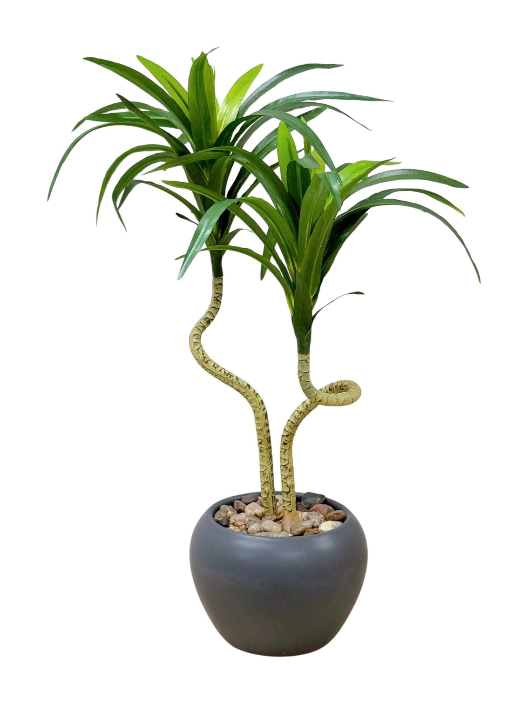 39cm 仿真龍血蘭盆栽 Dracaena Potted Plant