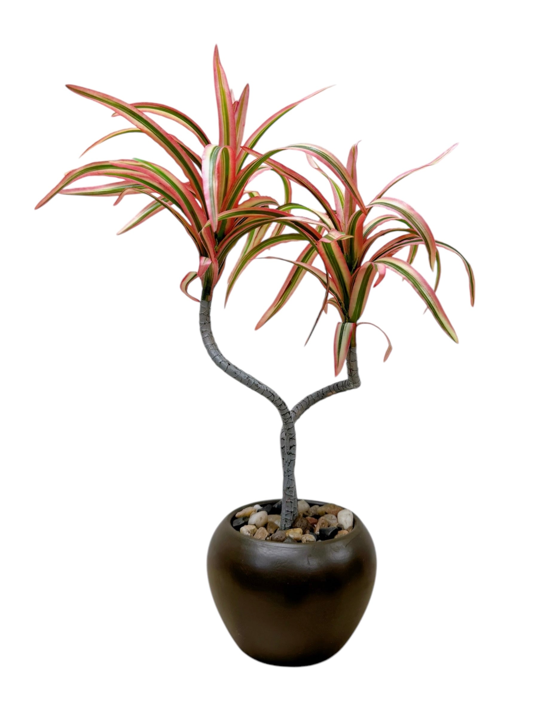 39cm 仿真龍血蘭盆栽 Dracaena Potted Plant