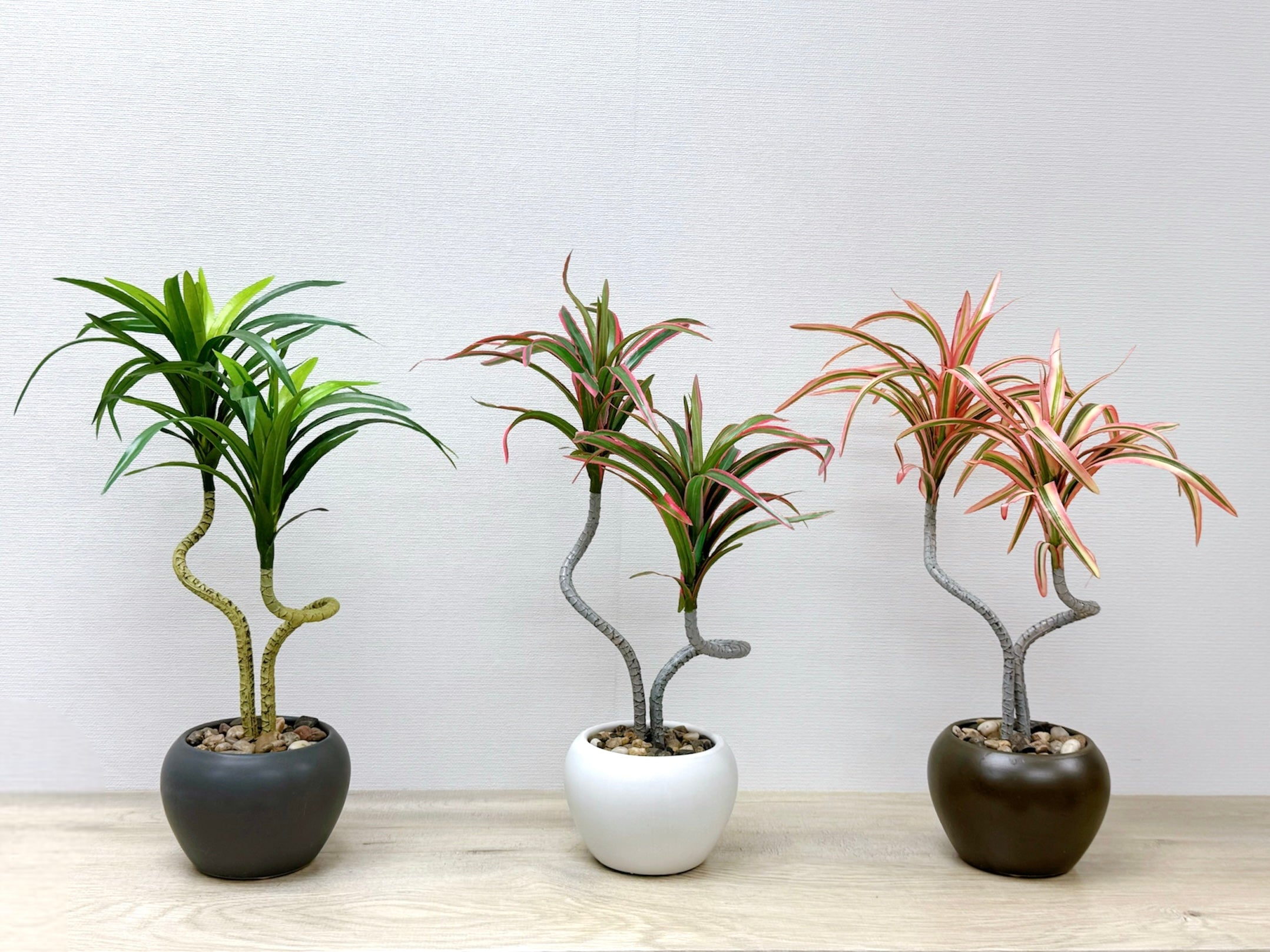 39cm 仿真龍血蘭盆栽 Dracaena Potted Plant