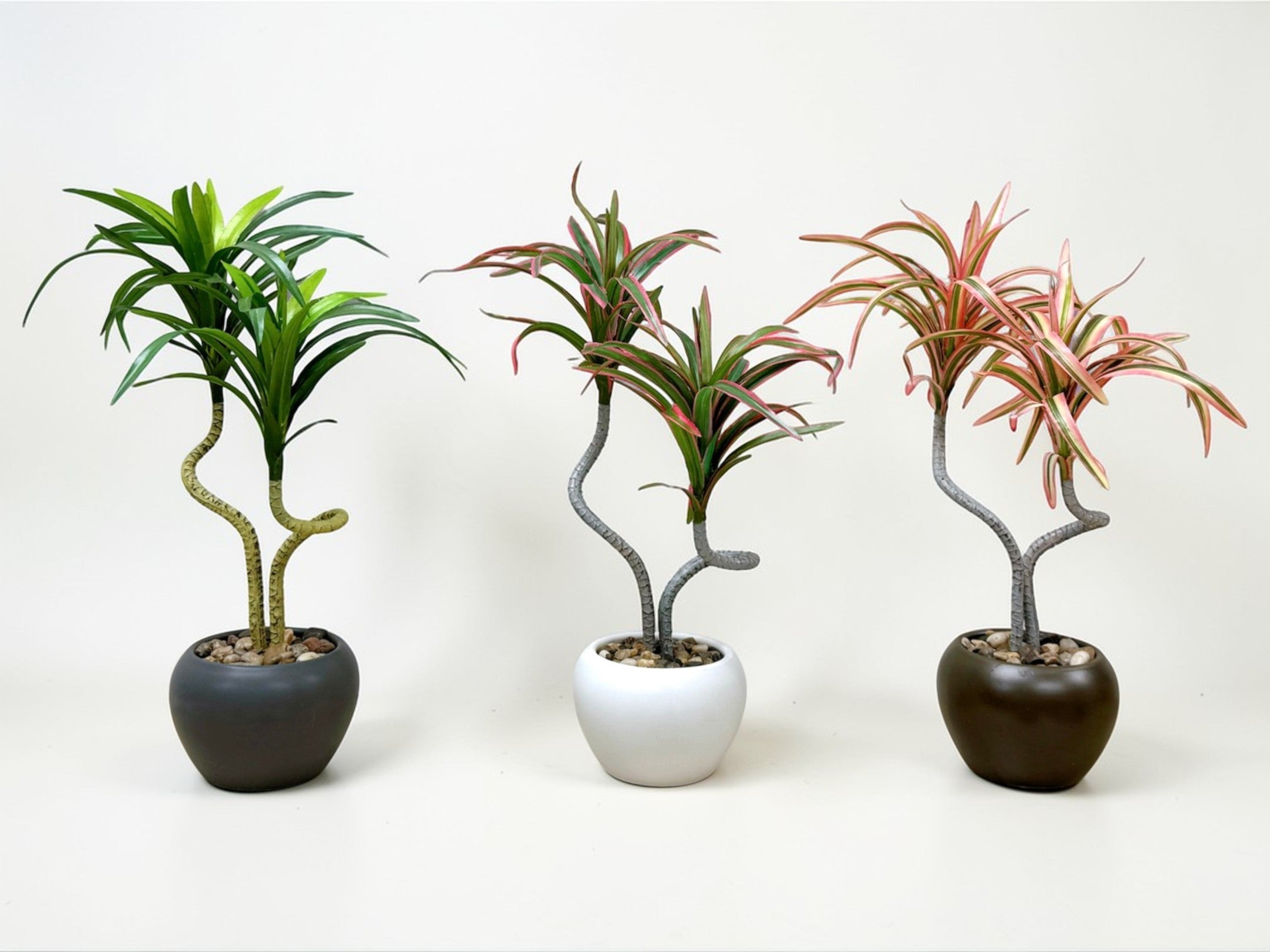 【香港現貨】仿真龍血蘭陶瓷盆栽 (39cm) | 日系極簡禪意 扭曲枝幹造型 Dracaena - Midoria