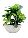 30cm 仿真橡葉盆栽 Ficus Elastica Potted Plant