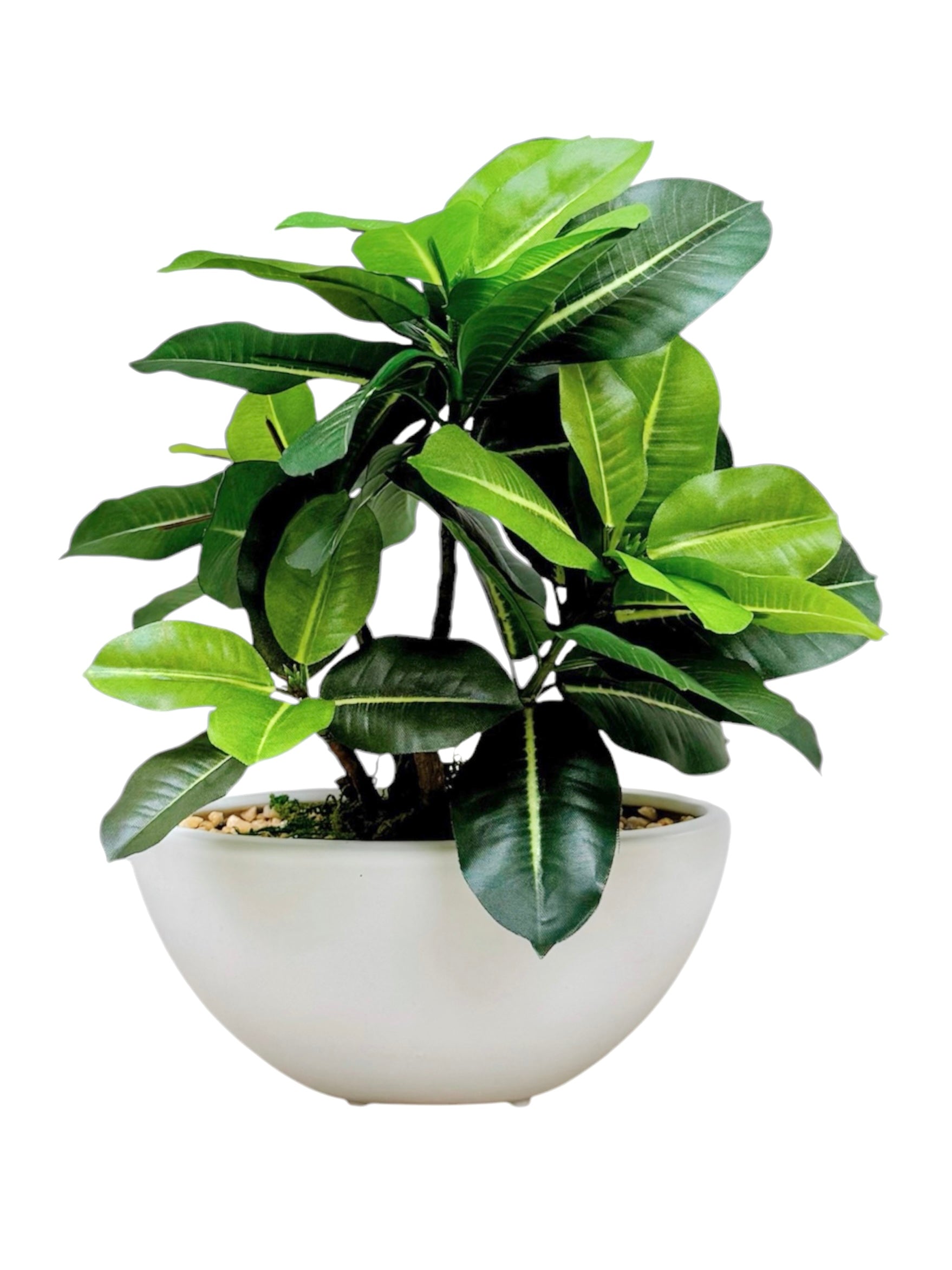 30cm 仿真橡葉盆栽 Ficus Elastica Potted Plant